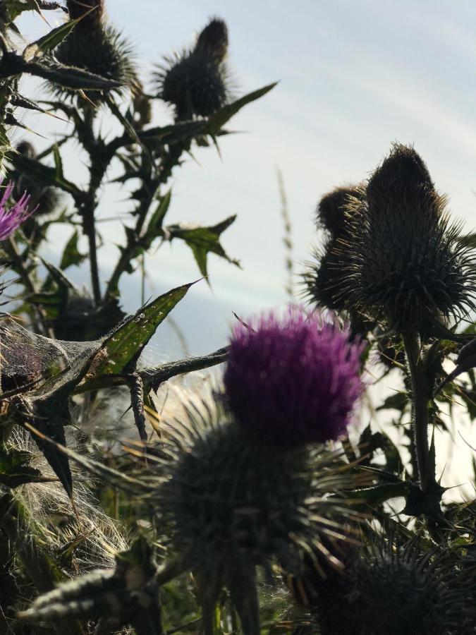 Bunnahabhain 5 - Farm Stay - Stunning Sea And Rural Views Stranraer Eksteriør billede
