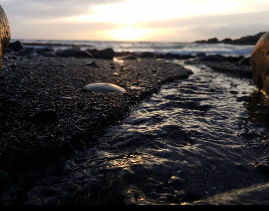 Bunnahabhain 5 - Farm Stay - Stunning Sea And Rural Views Stranraer Eksteriør billede