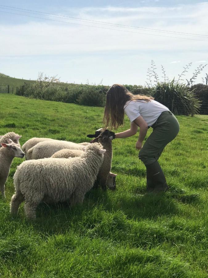 Bunnahabhain 5 - Farm Stay - Stunning Sea And Rural Views Stranraer Eksteriør billede