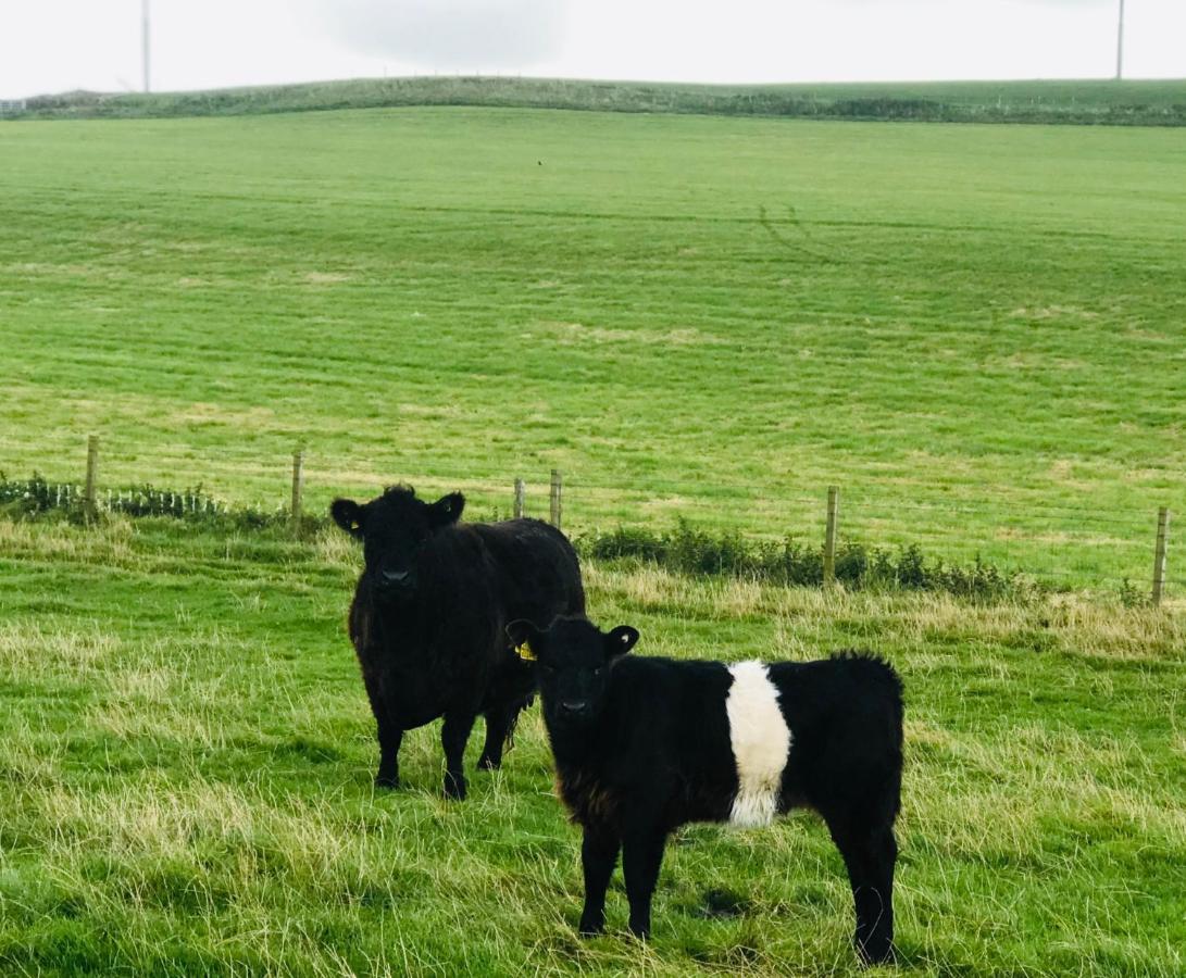 Bunnahabhain 5 - Farm Stay - Stunning Sea And Rural Views Stranraer Eksteriør billede