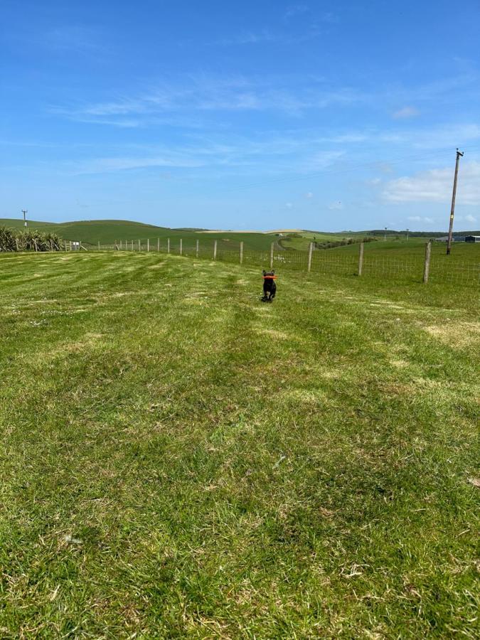 Bunnahabhain 5 - Farm Stay - Stunning Sea And Rural Views Stranraer Eksteriør billede