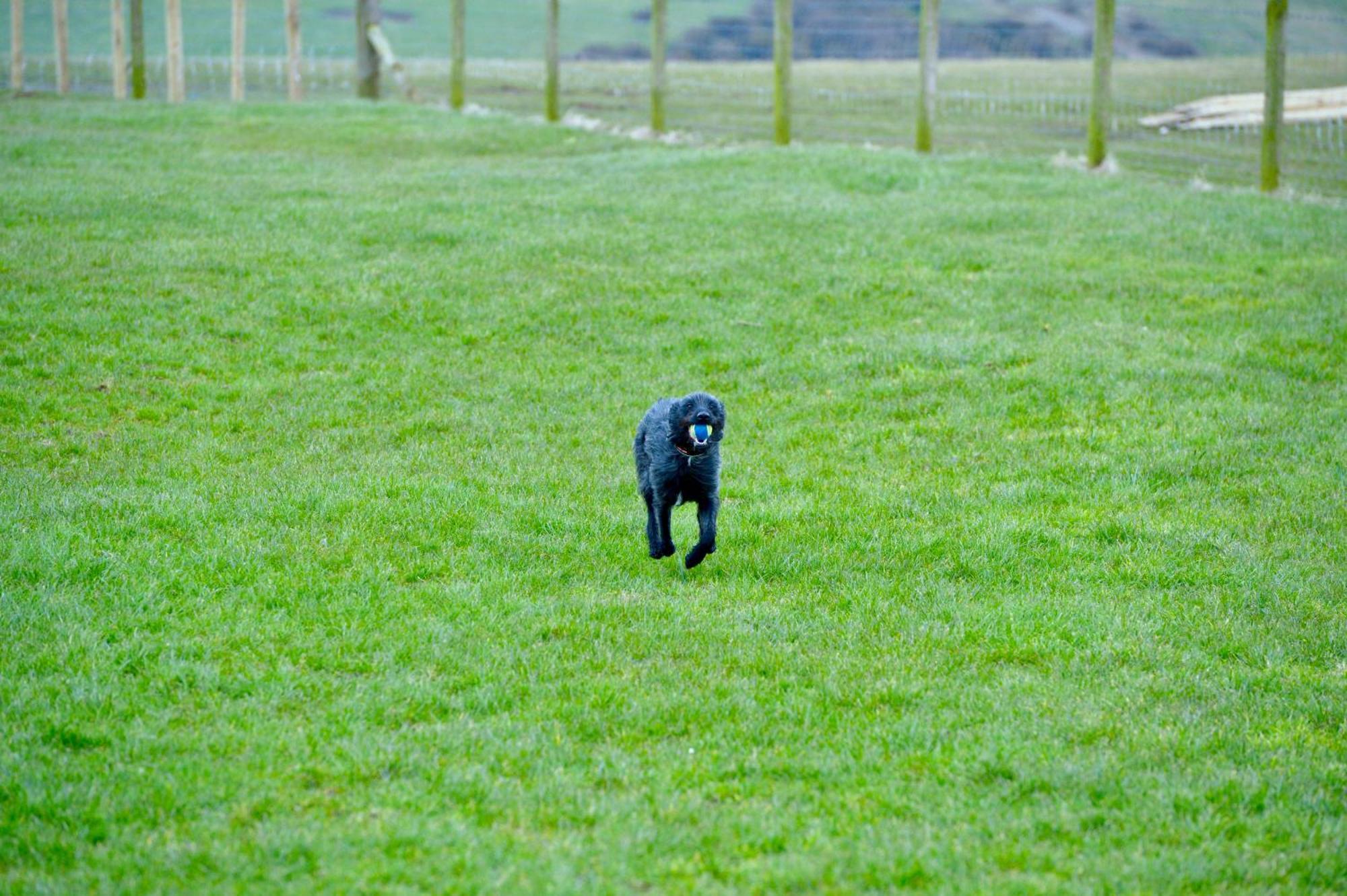 Bunnahabhain 5 - Farm Stay - Stunning Sea And Rural Views Stranraer Eksteriør billede